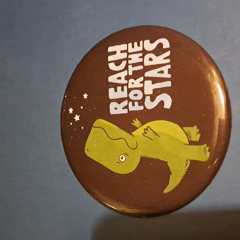 Big dinosaur button pin Reach for the stars funny